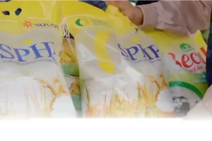 Bantuan Sosial PKH dan BPNT Cair Bertahap Mulai Maret, Warga Dapat Bansos Beras dan Minyak Jelang Lebaran 2026!