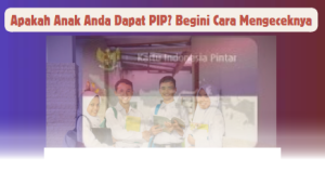 Cara Mudah Cek PIP untuk Anak Anda yang Harus Diketahui Orang Tua!
